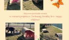 0FHvy6Fj