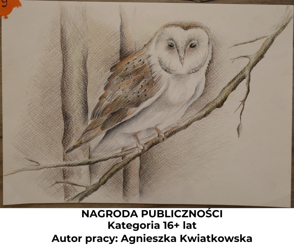Sukces naszej nauczycielki w konkursie plastycznym!